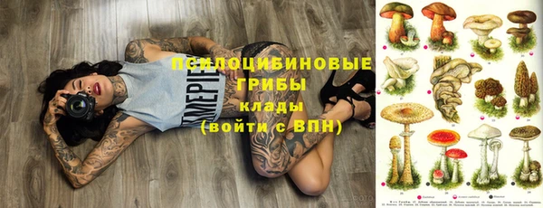 спиды Михайловск