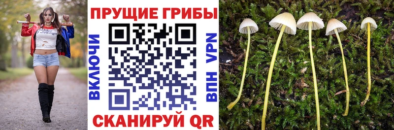 Галлюциногенные грибы GOLDEN TEACHER  Отрадный 