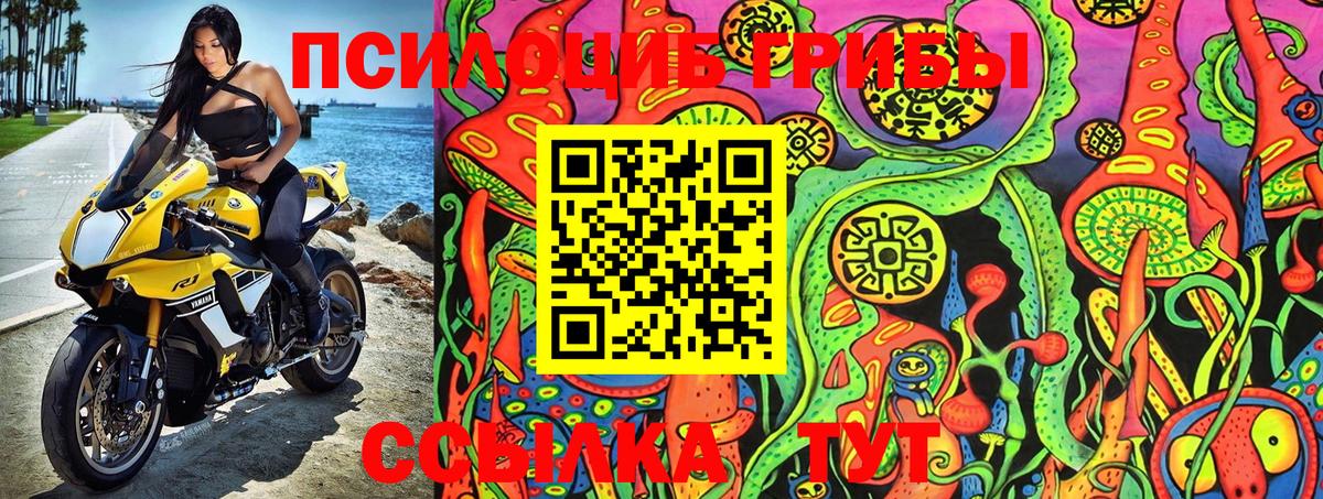 Псилоцибиновые грибы Psilocybine cubensis  купить наркотики сайты  Вход с VPN  Отрадный  Галлюциногенные грибы Cubensis 